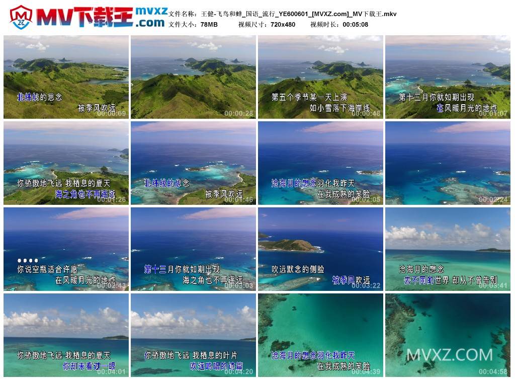 王健-飞鸟和蝉_国语_流行_YE600601